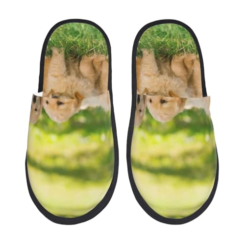 [JECASS] 킢 lC v[g Aj Xbp  Y 􂦂 gC qp p E Xbpjp LN^[ ObY  fB[X ~ 킢 qpm