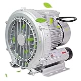 Generic Seitenkanalverdichter Radialgebläse,Regeneratives Gebläse,120W,180W,250W, Industrie Druckventilator,Einphasig,Abwasser Belebungs Vortex-Gas-Pumpe (Size : 250W/0.34HP)