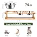 Petacc Elevated Pet Bowl Raised Dog Cat Bowls Stainless Steel Bowl for Cats Eco-Friendly Dog Bowls and 3 Bowl Dog Feeder …