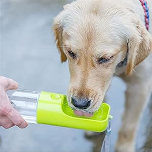 Portable dog water bottle 15 ozleak proof puppy water dispenser with drinking feeder for pets dog bowl for outdoor traveling walking camping and hiking green   cucciolini doodles