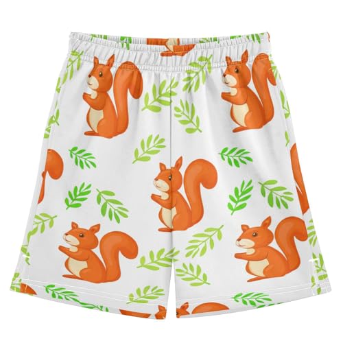 J JOYSAY Squirrel Leaves Cartoon Boys Athletic Shorts Kids Youth Casual Shotrs with Elastic Waistband Pockets