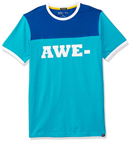 Image of Indian Terrain Boys T-Shirt