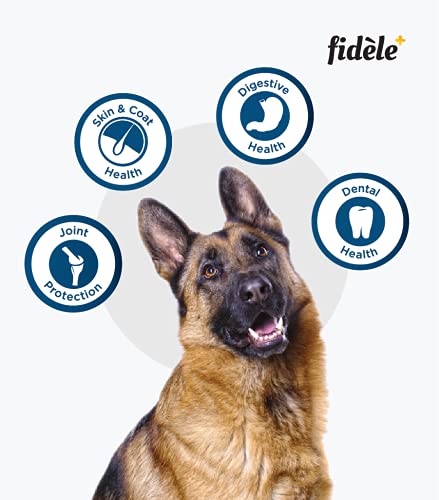 Image of Fidele+ Adult Large Breed Dog Food | 200g | Glucosamine for Joint Support | Omega 3 & 6 | High Protein | Muscle Strength & Coat Health