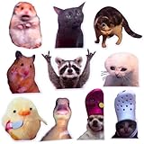 10PC Funny Meme Animals Fridge Magnets, Fun Cute Weird Magnetic Crying Cat Dog Hamster Duck Magnets for Gaming Kitchen Home Decor Bumper School Locker Work for Boys Girls Adult Accessories