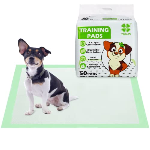 2x Welpen Unterlagen 50x70cm - Waschbare Pipi Matten Für Hunde & Katzen