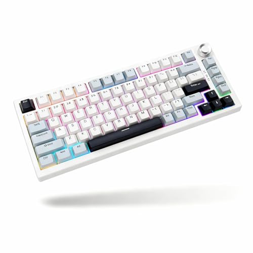 K81 ワイヤレスメカニカルキーボード | 75%コンパクトレイアウト | 快速トリガー | Gasket構造 | PBTキーキャップ RGBバックライト | 多機能メディアノブ | 三模接続（Bluetooth/2.4G/有線） | 熱交換対応 テンキーレスゲームキーボード オフィス/ゲーム両用 Mac/Windows互換（極地の白）のサムネイル