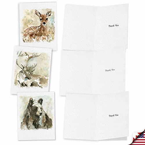 Image of The Best Card Company 10 Assorted Thank You Notes Box Set 4 x 5.12 Inch with Envelopes (10 Designs, 1 Each) Watercolor Wildlife M6629TYG