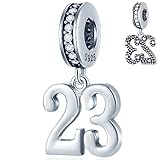 23 Years Birthday Dangle Charms fits Pandora Gold Bracelet, 925 Sterling Silver 23rd Anniversary Pendant Beads with CZ, Number 23 Bday Gifts for Twins/Goddaughter/Stepsister