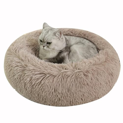 STAERTME ybgNbV Lxbh xbh LNbV ybgxbh ybgnEX ی`  ӂӂ ``  LpQ 􂦂 ybgxbg ^ ^ xbg L ėp ʋC悢 XNGA^ _炩 ӂӂ 