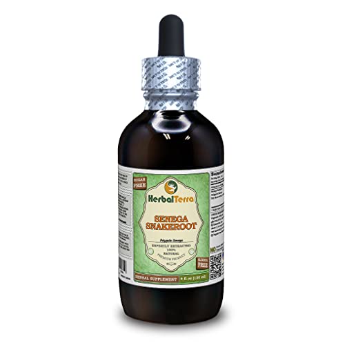 Senega Snakeroot (Polygala Senega) Glycerite, Dried Roots Alcohol-FREE Liquid Extract (Brand name: HerbalTerra, Proudly made in USA) 4 fl.oz (120 ml)
