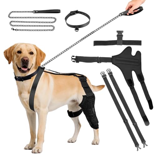 rppGu[XA􂩂ꂽACL㎈T|[gp̒߉\Ȍ̋ru[XA֐߂̈萫Ả񕜁Aɂ݂̊ɘaǍ㕔rbvn[lXZbgAւƃ[Vt