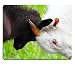 Produktbild Mousepads Erwachsene und Junge Ziegen, die mit Ihren Köpfen an Einer Tierfarm kämpfen Matte kundengebundene Tischplattenlaptop-Spiel-Mausunterlage