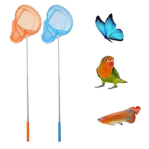 Stainless Steel Telescopic Fishing Net for Birds/Fish & Catching Bugs, Butterfly Mesh Net with Anti Slip Grip (3 feet) Pack of 2 (B0D41PNMXD) Amazon Price History, Amazon Price Tracker
