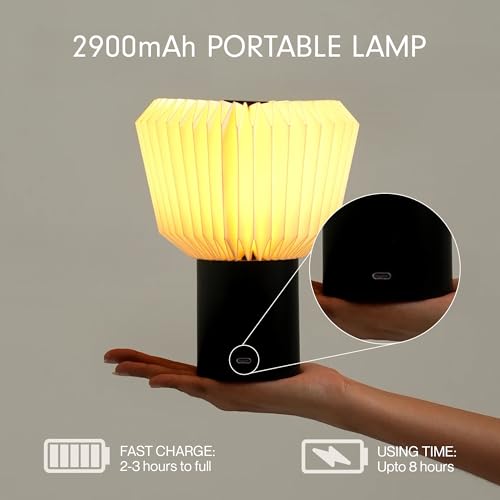 Image of FIG Living Touch Sensor Portable Table Lamp |Secret Santa Gift | USB-C Rechargeable | 3 Brightness Levels | Home Office, Study & Gifting Decor Light (Bouquet | Portable)