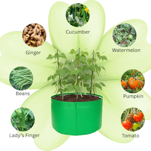 Image of HDPE UV Treated 340 GSM Plant Growing Bags for Terrace Gardening Easy to Use 24 x 12 Inch - Pack of 2