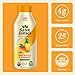 Saint James Iced Tea - Organic Green Tea - Non GMO, Gluten Free, Low Calorie & Low Sugar - Pineapple & Mango, 12 Pack (16 fl oz each)