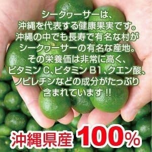 Okinawa Specialty 100% Shikuwasa apretada (individual) Chura Island Okinawa