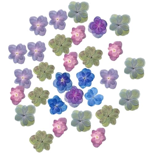 30 flores secas hortensias para manualidades DIY miniatura 1