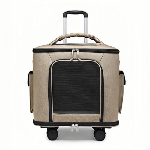 NYHGOXM ÉLX^[tybgL[obO bNp e ʋCbV EVΉ Œ܏ɋ Lp 2C܂Ŏe\ v[gɍœK (J[LF)