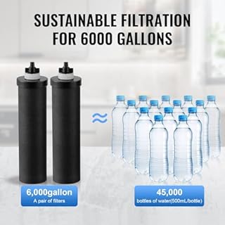 VEVOR Water Filter System, 2.25G 304 Stainless-Steel Countertop System, Water Filtration System, Reduces Lead and up to 99% of Chlorine, with 2 Carbon Filters & Spigot, for Home Camping RV