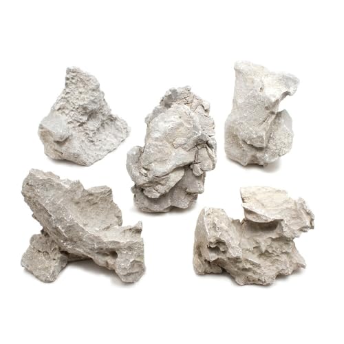 `󂨔C  lTCYiPR`PWj T ANAE CAEgf