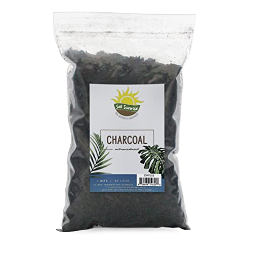 Top 10 Activated Charcoal For Plants of 2022 Katynel