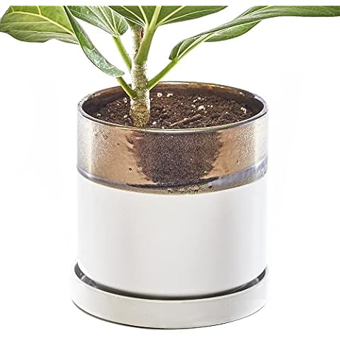 Chive Minute Ceramic Planter Pot for Succulents Cover