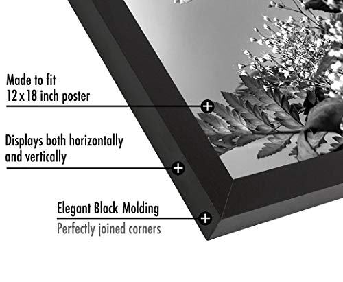 Americanflat 12x18 Poster Frame with Polished Plexiglass - Black Picture Frame - Wide Photo Frames Made of Engineered Wood for Vertical or Horizontal Wall Display - Epic Collection - Black
