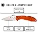 Spyderco Delica 4 Lightweight Folding Utility Pocket Knife with 2.90