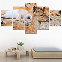 SIGNWIN 5 Panel Canvas Wall Art Animals Deer Modern Artwork for Home Decorations Ready to Hang - 60