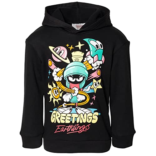 Looney Tunes Warner Bros Fleece Pullover Hoodie Toddler to Big Kid Sizes (4T - 18-20)