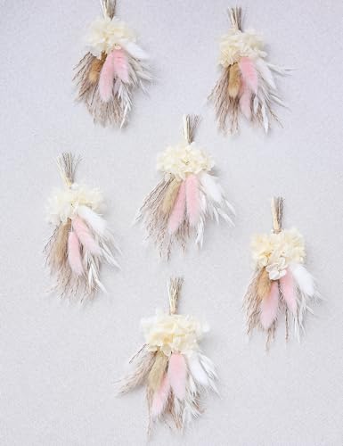 Mini Dried Flower Bouquet (Pack of 6), Dried Flower Bouquet for Bohemian Wedding Table Centerpieces, Dried Pampas Grass, Groom and Best Man Boutonnieres, Dried Cake Flowers. (Blush)