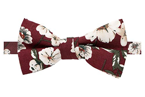 Image of Spring Notion Boys' 4-Piece Floral Suspenders Outfit