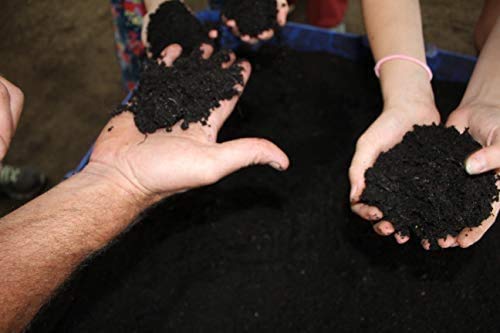 Brut Worm Farms - Worm Castings Soil Builder - Organic Fertilizer - Natural Enricher for Healthy Houseplants, Flowers, and Vegetables - Use Indoors or Outdoors - Non-Toxic and Odor Free - 30 Pounds