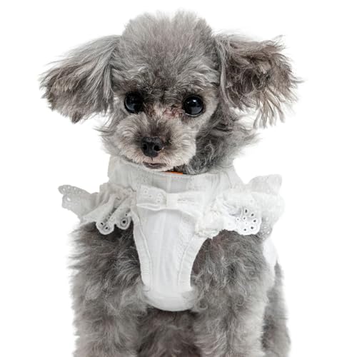 ybgp_CX  n[lX  t xXgn[lX   S S ̖h~ ^ yQl S V[Y[ ~j`AViEU[ (`8kg) ybgp_CXcX72XܓWJ2025/10/1_z