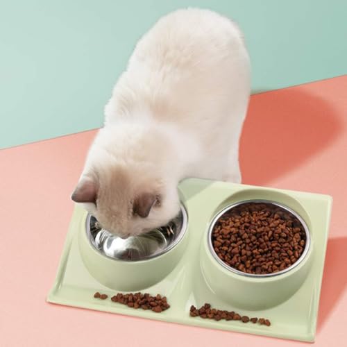 Comedouro Duplo para Gatos e Cães Pequenos, Tigela Alimentação Pet- QH Shopp (Verde)