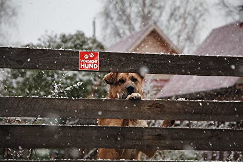 HERMA 15458 Vorsicht Hund Aufkleber wetterfest, 2 Stück, 79 x 75 mm, 9 x 35 mm, selbstklebend, klein, groß, Achtung bissiger Hund Etiketten Schild aus langlebiger Folie für Außen- und Innenbereich