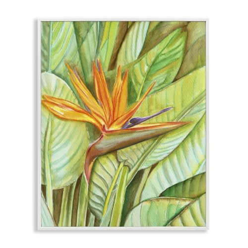 Bird of Paradise Botanical Bloom, 24 x 30 Inch Framed Giclée Print