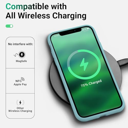 Image of DIZORO Silicone Back Case for iPhone 11 Pro, Soft-Touch Phone Microfiber Silicone Back Cover for iPhone 11 Pro - Cactus
