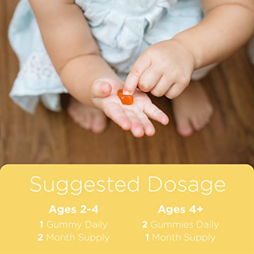 Hrmny Kids And Toddler Gummy Multivitamins (60 Vegetarian Gummies): Vitamin D3, C And Zinc For Immune Support, B12 Methylcobalamin For Energy, Folate For Cognitive, With Iron, Gluten-Free, Non-Gmo #TOP5