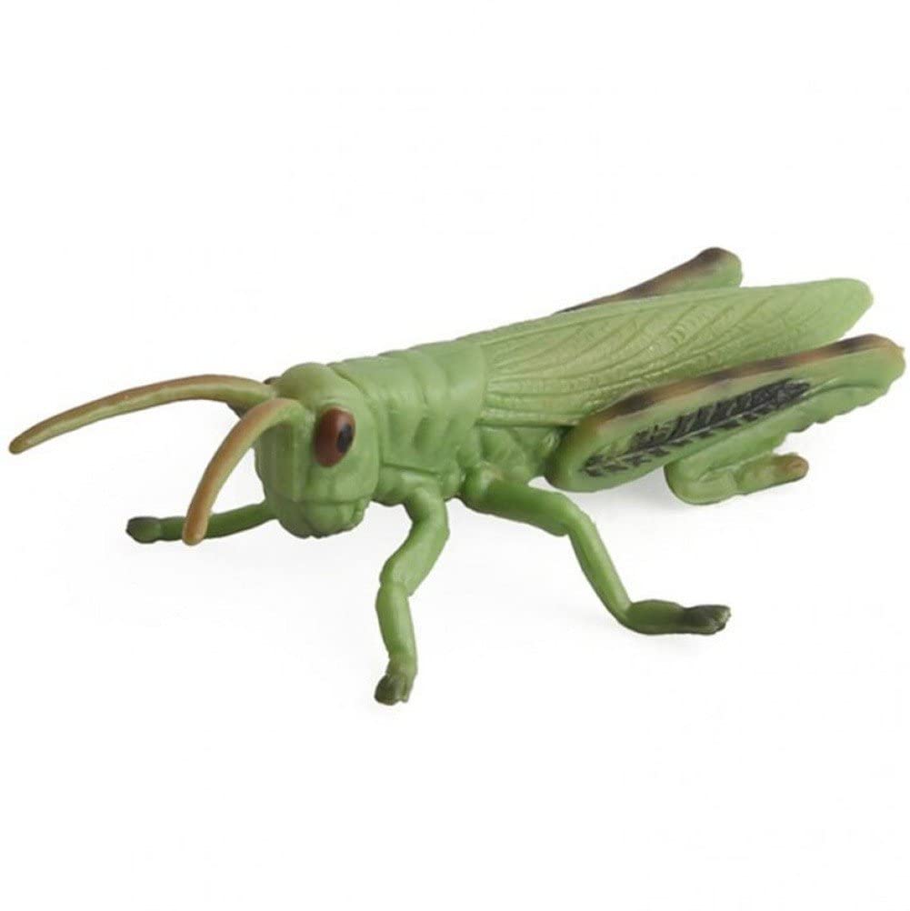 Amazon.co.jp: バッタ モデル 飛蝗 フィギュア リアル 昆虫 おもちゃ