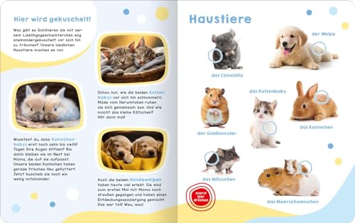Mein großes Geräuschebuch – Tierbabys: Mit 43 Sounds | Hochwertiges Soundbuch mit realistischen Sounds für Kinder ab 24 Monaten