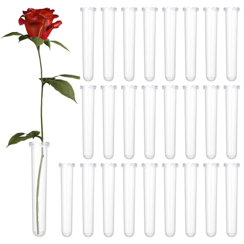 32 x Reagenzgläser für Blumenröhrchen Kunststoff, Wasserröhrchen für