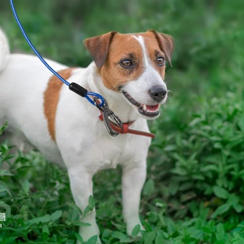 SUPVOX Coleira Resistente Para Cães Grandes Médios E Pequenos Trela De Agilidade Para Treinamento De