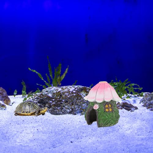 Refuge terrarium ou aquarium pour petits poissons et crevettes - 6