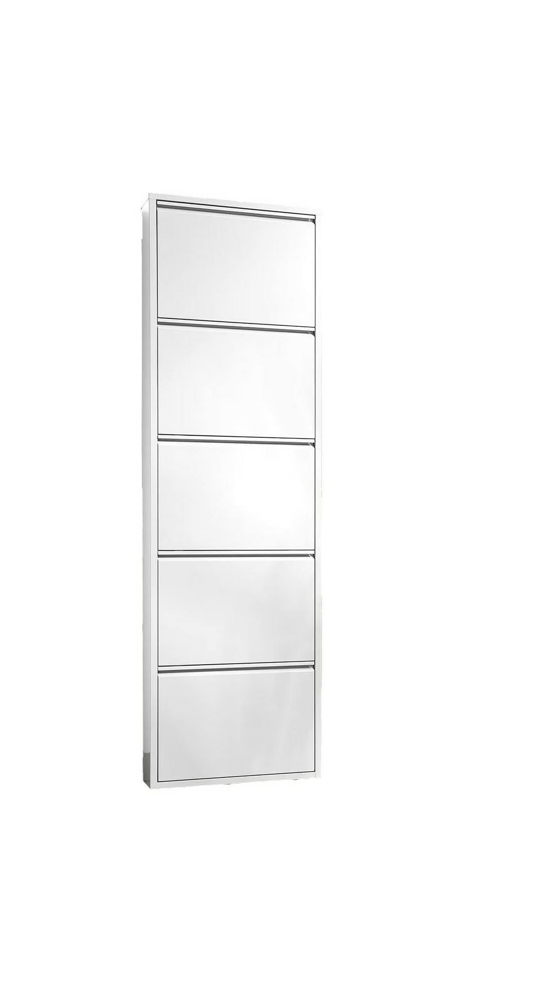 Dmora - Scarpiera Isidro, Mobile portascarpe in metallo, Armadio da ingresso multiuso, Mobiletto per calzature, 50x15h172 cm, Bianco