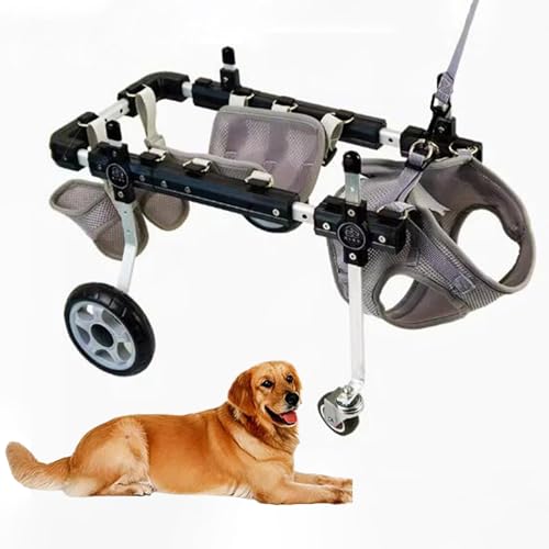 Silla de ruedas ajustable para perros con arnés de soporte abdominal y de cadera 1