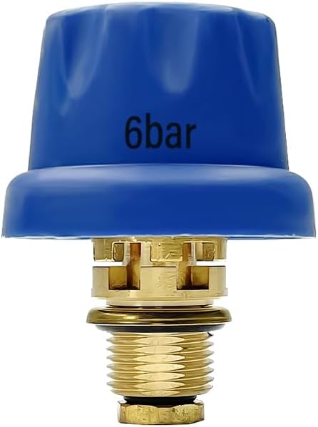 LABFENG 6Bar Pressure Relief Valve for Jewelry Steam Cleaner Attachment Jewelry Steamer Gem Washer Equipment -6 Bar Pressure Relief Valve for Steam Cleaning Machine