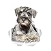ZLFC SYHHTTQ Lot de 2 autocollants 3D pour voiture Motif chien schnauzer curieux 30 cm