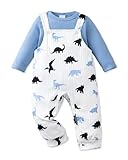 NZRVAWS Newborn Boy Outfits Baby Clothes Infant blue dinosaur Romper Cute Denim Jeans Jumpsuit Overalls Set 3-6 Months